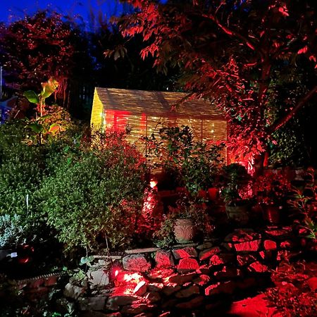Bumble Bee Cottage Plymouth Esterno foto