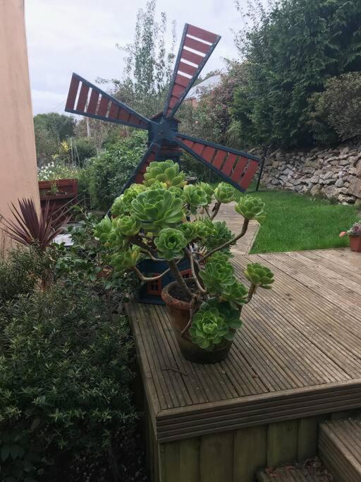 Bumble Bee Cottage Plymouth Esterno foto