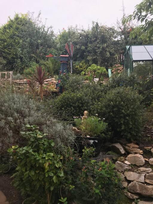 Bumble Bee Cottage Plymouth Esterno foto