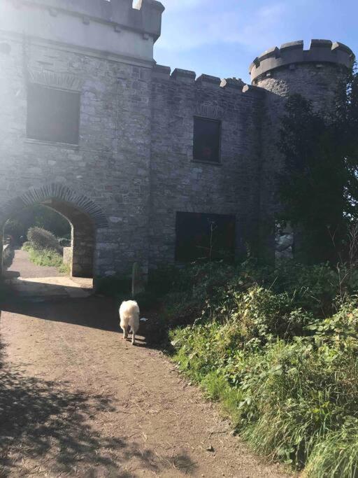Bumble Bee Cottage Plymouth Esterno foto