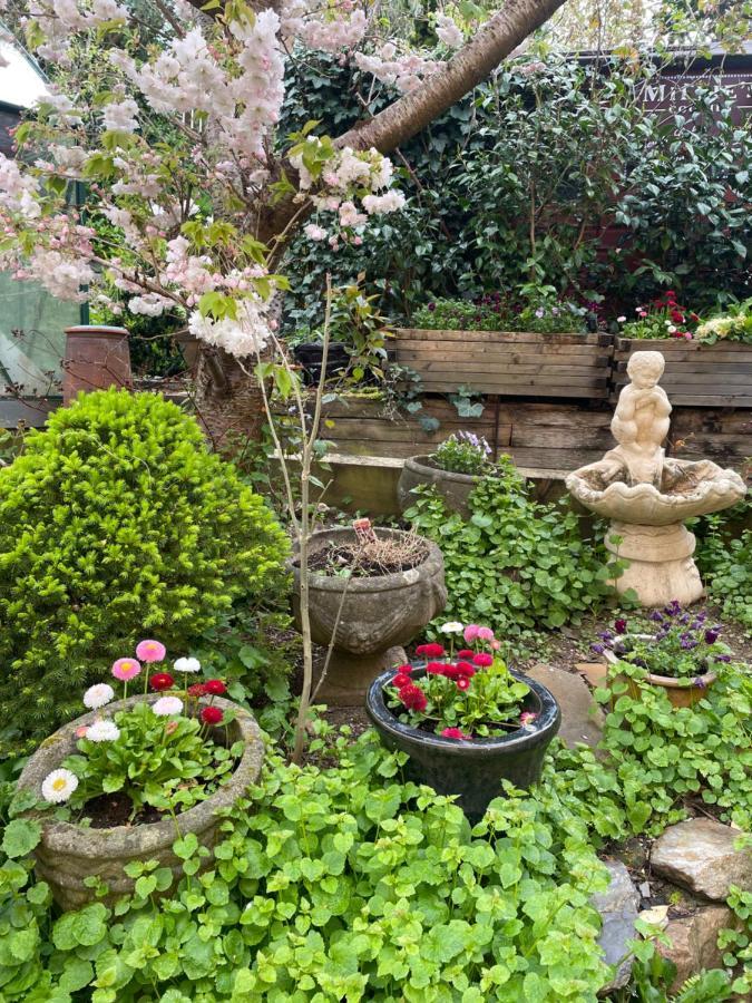 Bumble Bee Cottage Plymouth Esterno foto