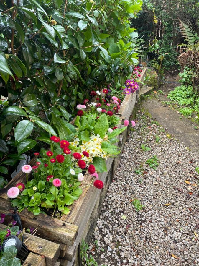 Bumble Bee Cottage Plymouth Esterno foto
